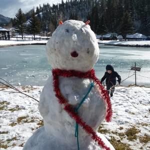 Meet your Posher, Barry